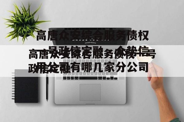 高唐众安综合服务债权一号政信定融，众势信用公司有哪几家分公司