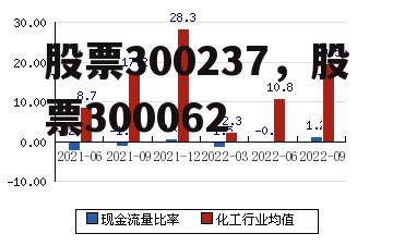 股票300237，股票300062