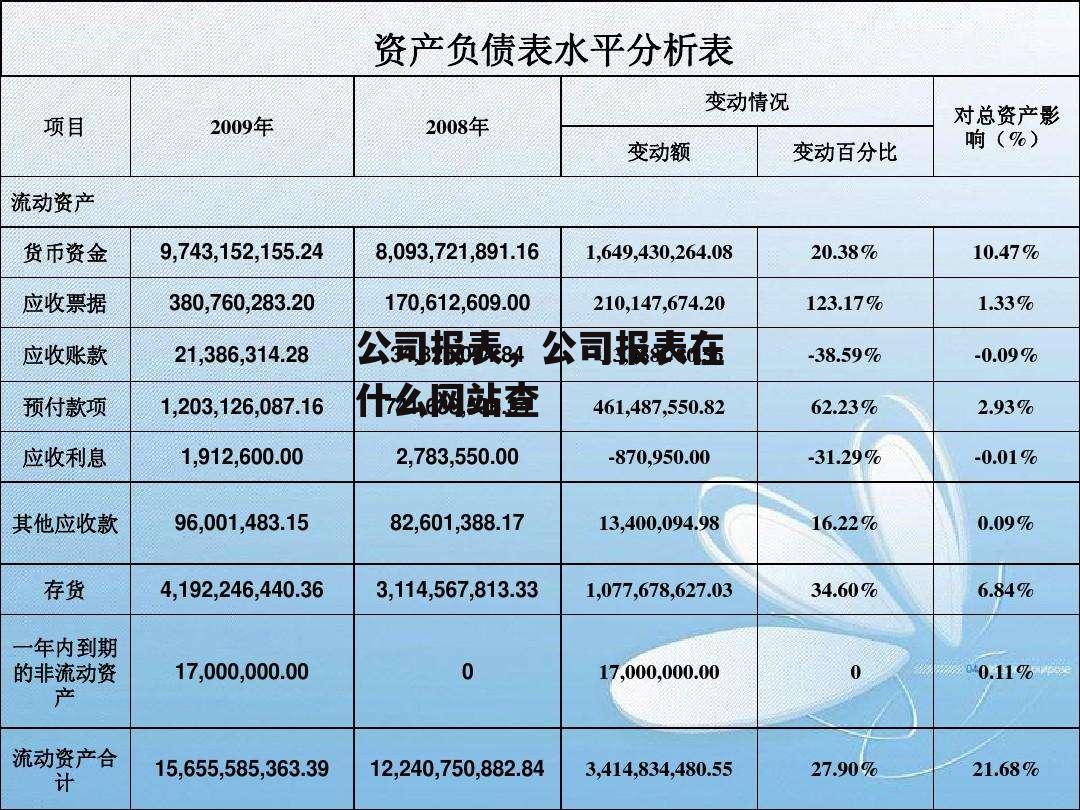 公司报表，公司报表在什么网站查