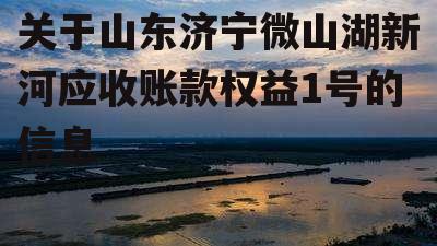 关于山东济宁微山湖新河应收账款权益1号的信息