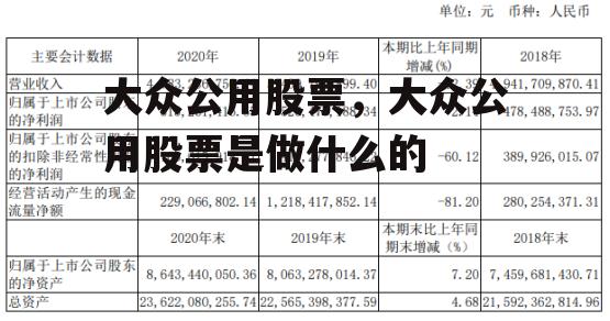 大众公用股票，大众公用股票是做什么的