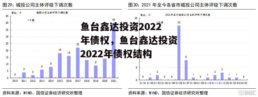 鱼台鑫达投资2022年债权，鱼台鑫达投资2022年债权结构