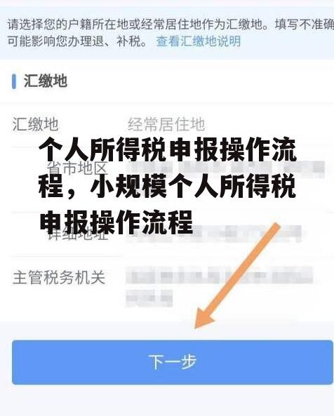 个人所得税申报操作流程，小规模个人所得税申报操作流程