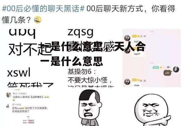 一是什么意思，天人合一是什么意思