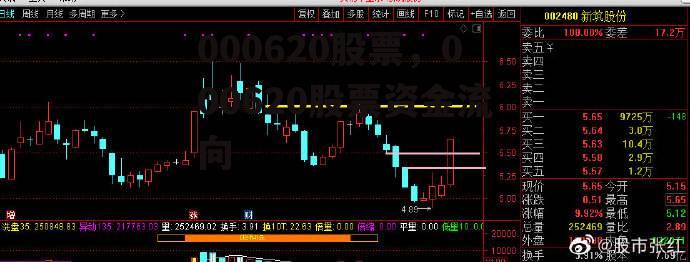 000620股票，000620股票资金流向