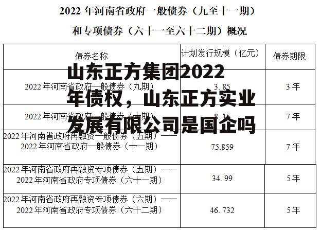 山东正方集团2022年债权，山东正方实业发展有限公司是国企吗