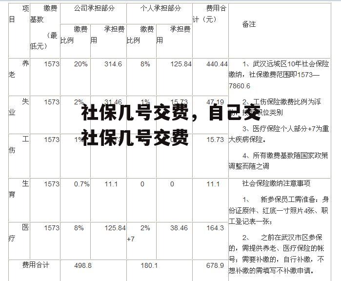 社保几号交费，自己交社保几号交费