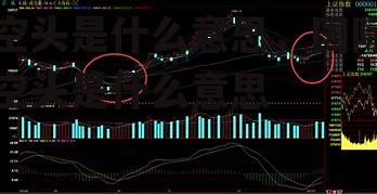 空头是什么意思，国际空头是什么意思