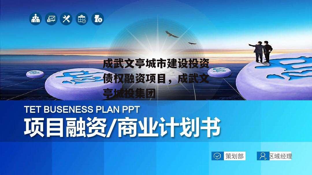 成武文亭城市建设投资债权融资项目，成武文亭城投集团