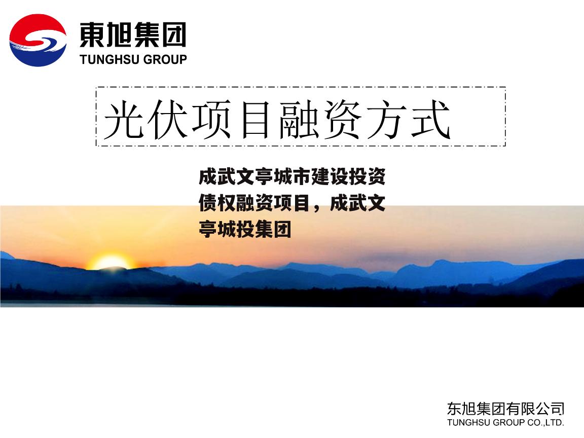 成武文亭城市建设投资债权融资项目，成武文亭城投集团