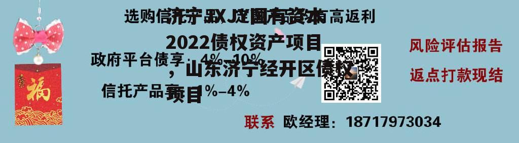 济宁JXJY国有资本2022债权资产项目，山东济宁经开区债权项目