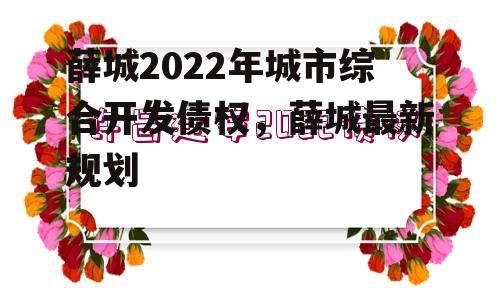 薛城2022年城市综合开发债权，薛城最新规划