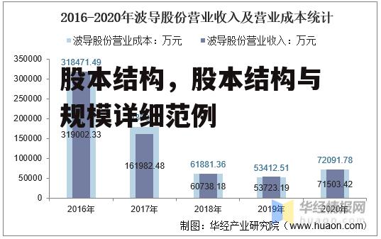 股本结构，股本结构与规模详细范例