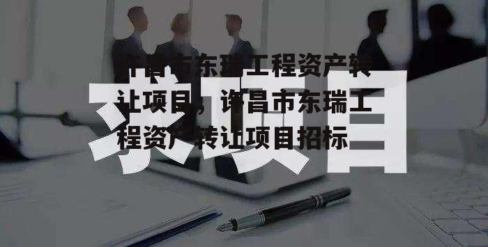 许昌市东瑞工程资产转让项目，许昌市东瑞工程资产转让项目招标