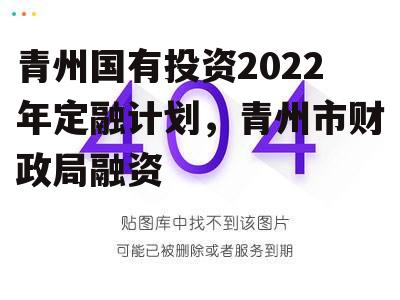 青州国有投资2022年定融计划，青州市财政局融资