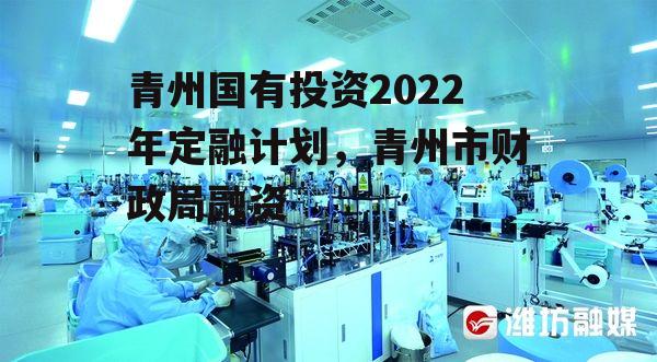 青州国有投资2022年定融计划，青州市财政局融资