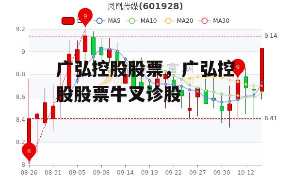 广弘控股股票，广弘控股股票牛叉诊股