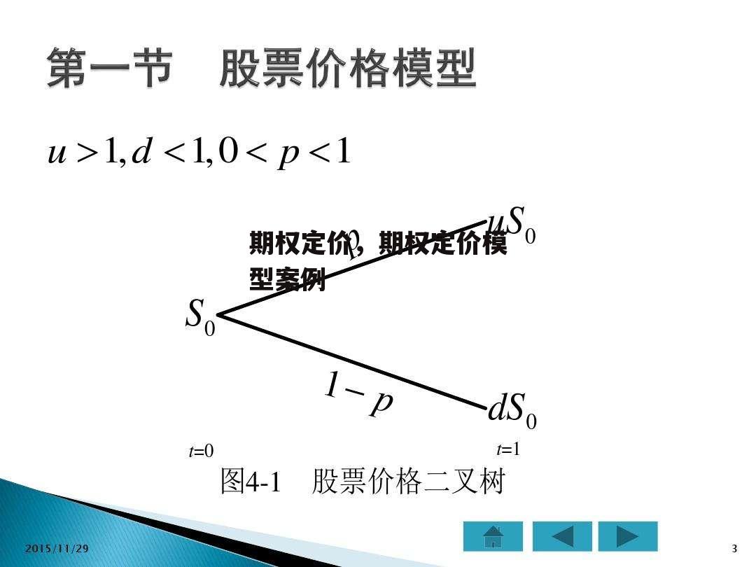 期权定价，期权定价模型案例