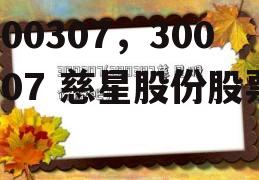 300307，300307 慈星股份股票