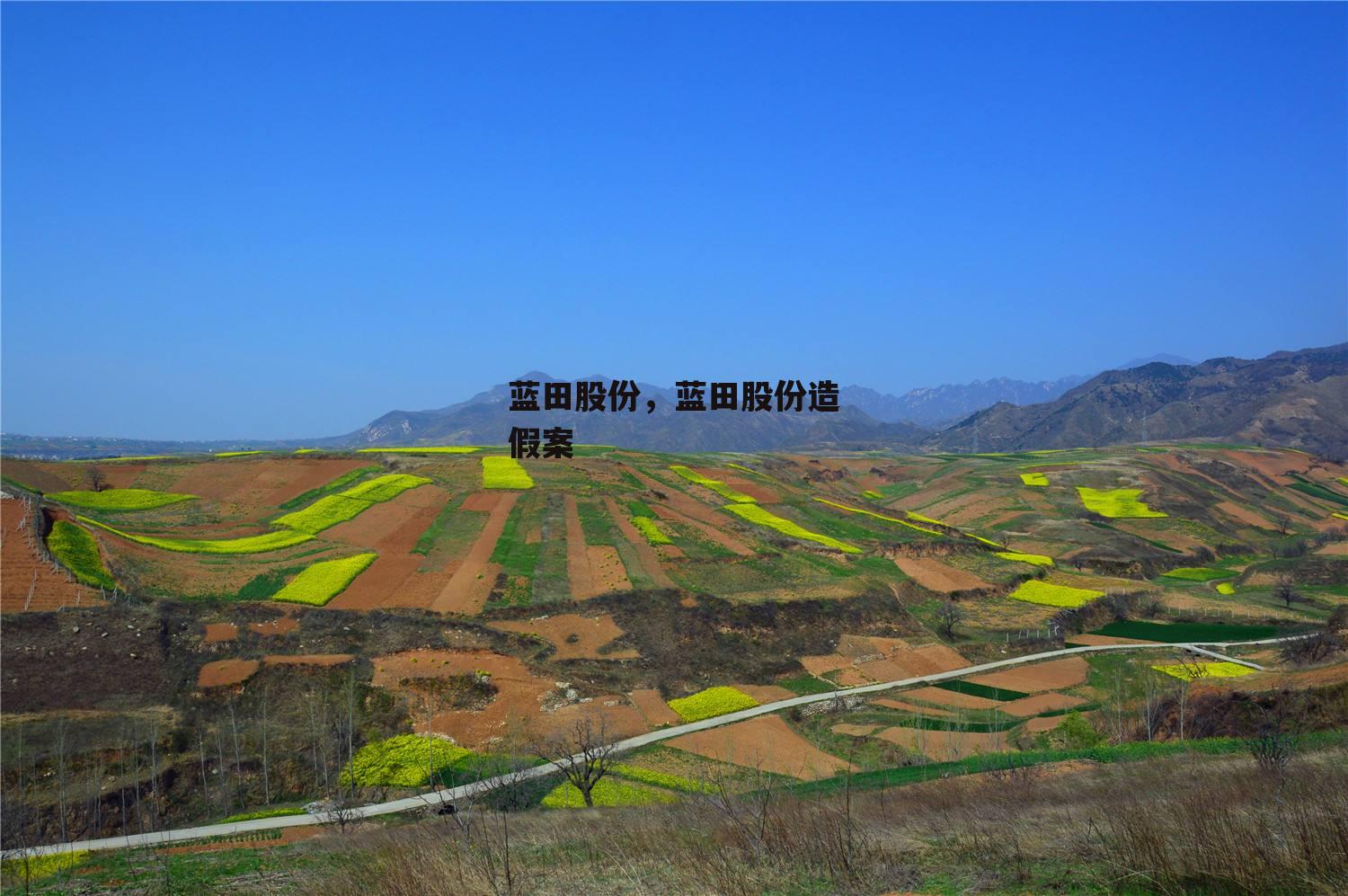 蓝田股份，蓝田股份造假案