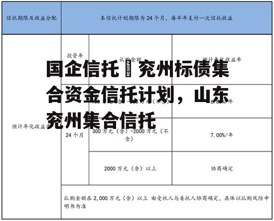 国企信托–兖州标债集合资金信托计划，山东兖州集合信托