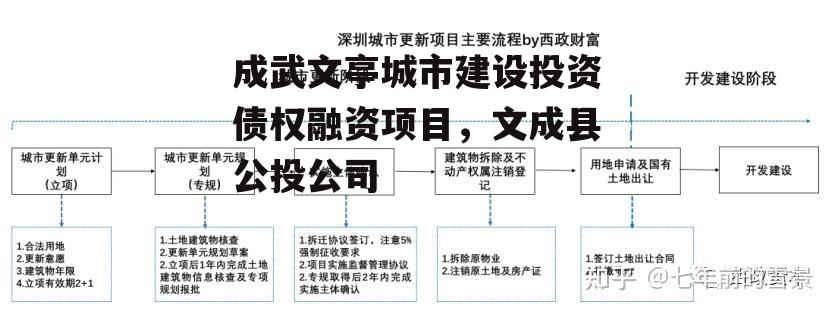 成武文亭城市建设投资债权融资项目，文成县公投公司