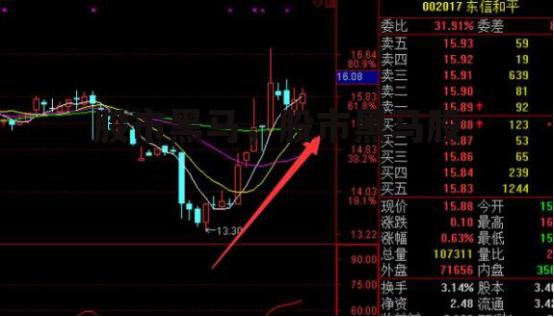 股市黑马，股市黑马股