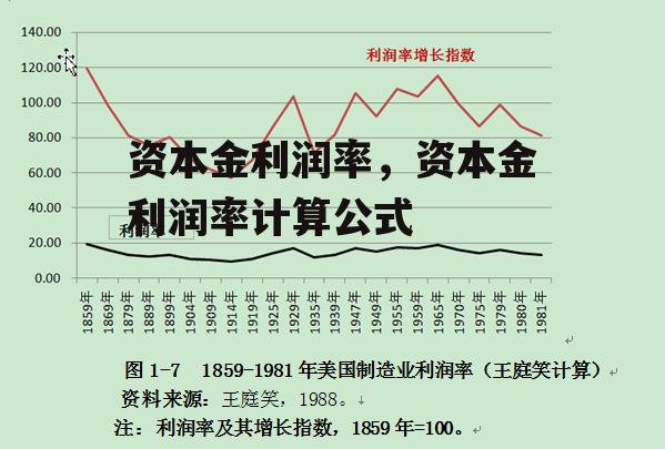 资本金利润率，资本金利润率计算公式