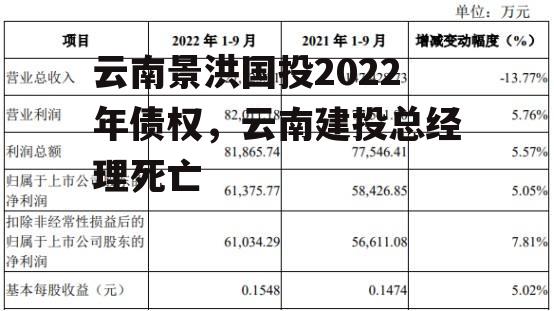 云南景洪国投2022年债权，云南建投总经理死亡