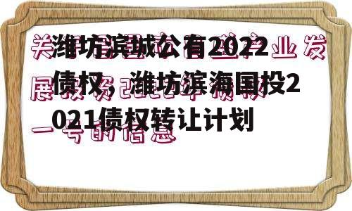 潍坊滨城公有2022债权，潍坊滨海国投2021债权转让计划