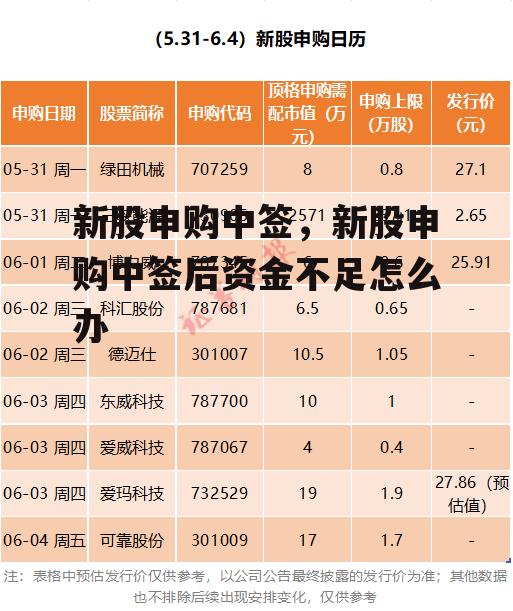 新股申购中签，新股申购中签后资金不足怎么办