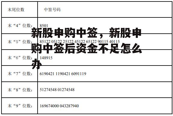 新股申购中签，新股申购中签后资金不足怎么办