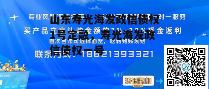 山东寿光海发政信债权1号定融，寿光海发政信债权一号