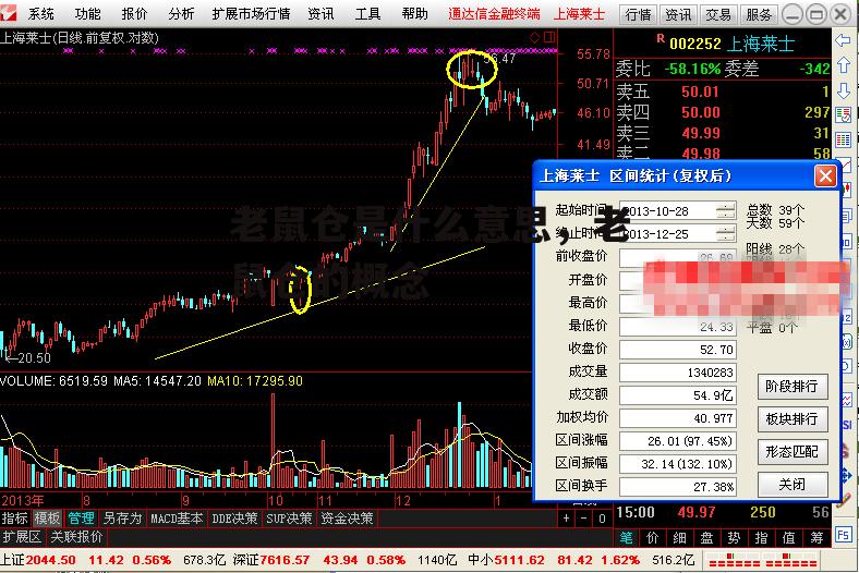 老鼠仓是什么意思，老鼠仓的概念