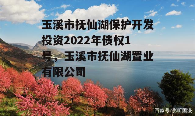 玉溪市抚仙湖保护开发投资2022年债权1号，玉溪市抚仙湖置业有限公司