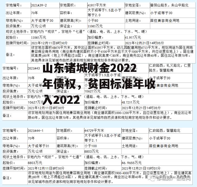 山东诸城财金2022年债权，贫困标准年收入2022