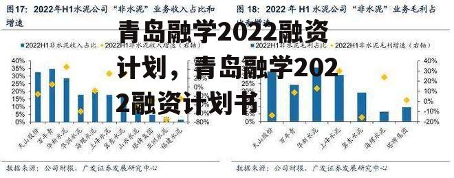 青岛融学2022融资计划，青岛融学2022融资计划书