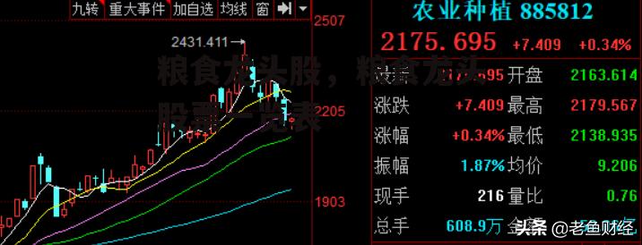 粮食龙头股，粮食龙头股票一览表