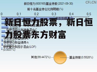 新日恒力股票，新日恒力股票东方财富