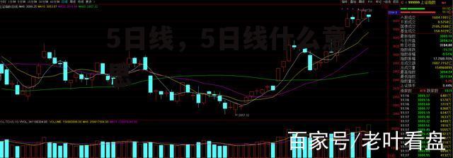 5日线，5日线什么意思