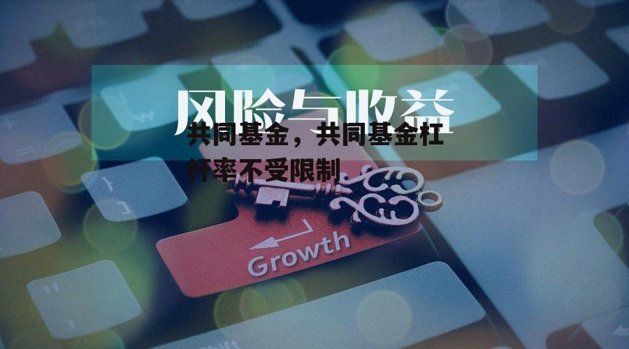 共同基金，共同基金杠杆率不受限制