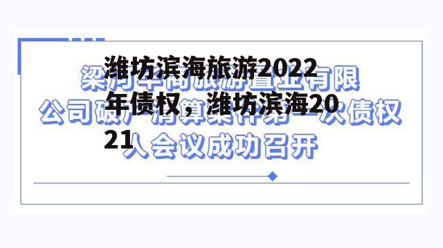 潍坊滨海旅游2022年债权，潍坊滨海2021