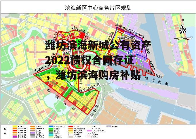 潍坊滨海新城公有资产2022债权合同存证，潍坊滨海购房补贴