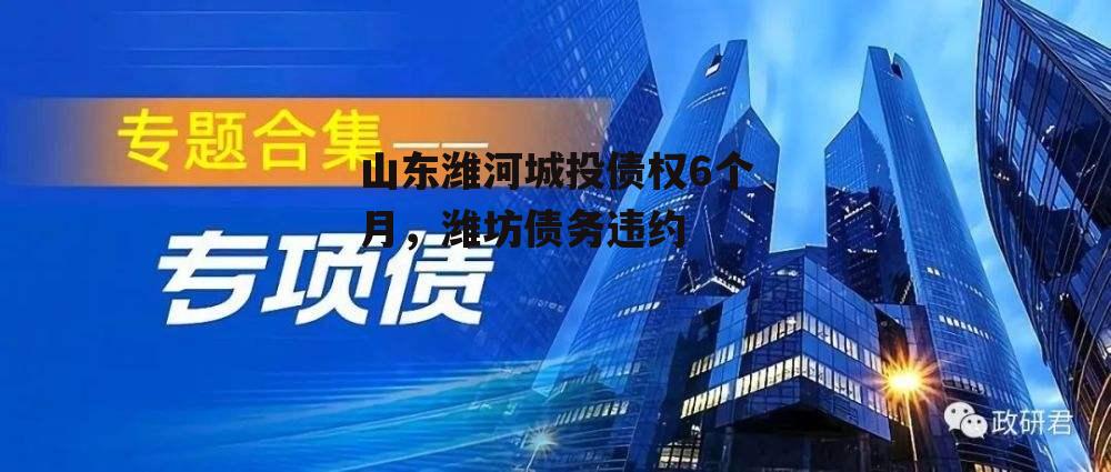 山东潍河城投债权6个月，潍坊债务违约