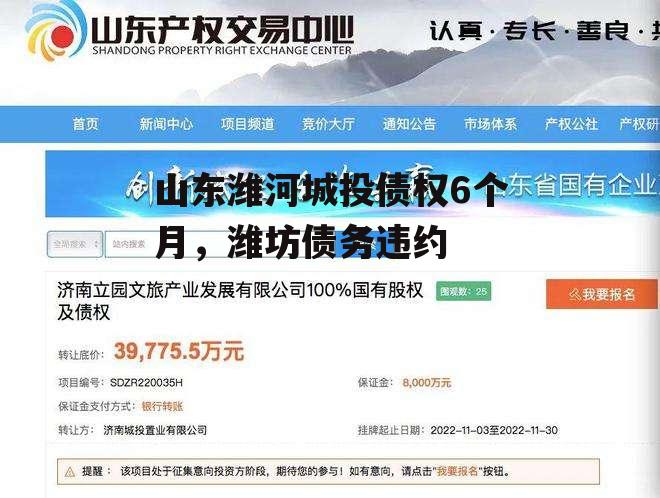 山东潍河城投债权6个月，潍坊债务违约