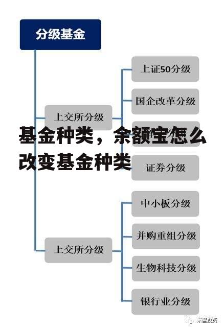 基金种类，余额宝怎么改变基金种类