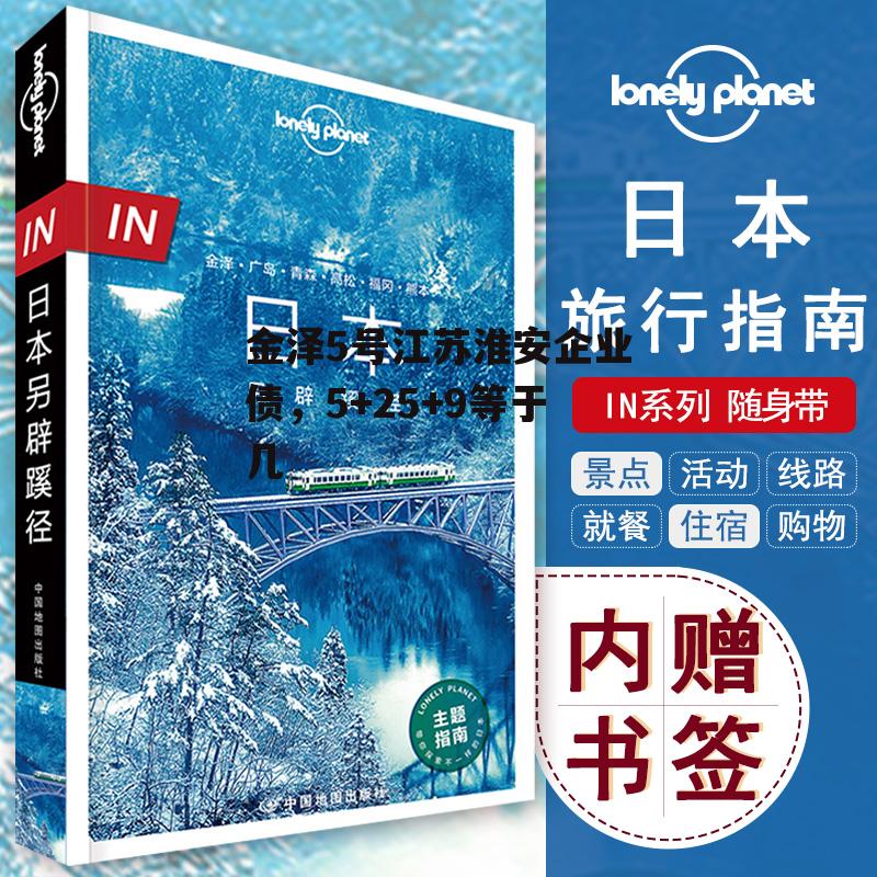 金泽5号江苏淮安企业债，5+25+9等于几