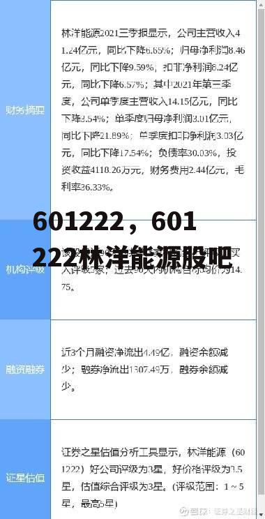 601222，601222林洋能源股吧