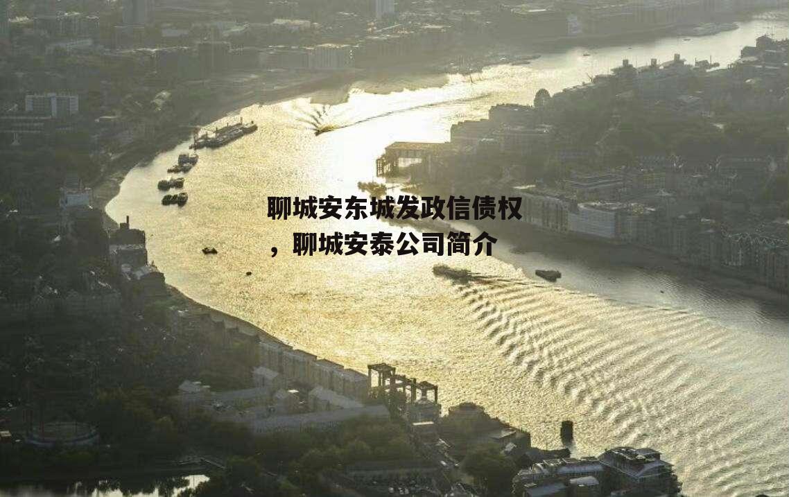 聊城安东城发政信债权，聊城安泰公司简介