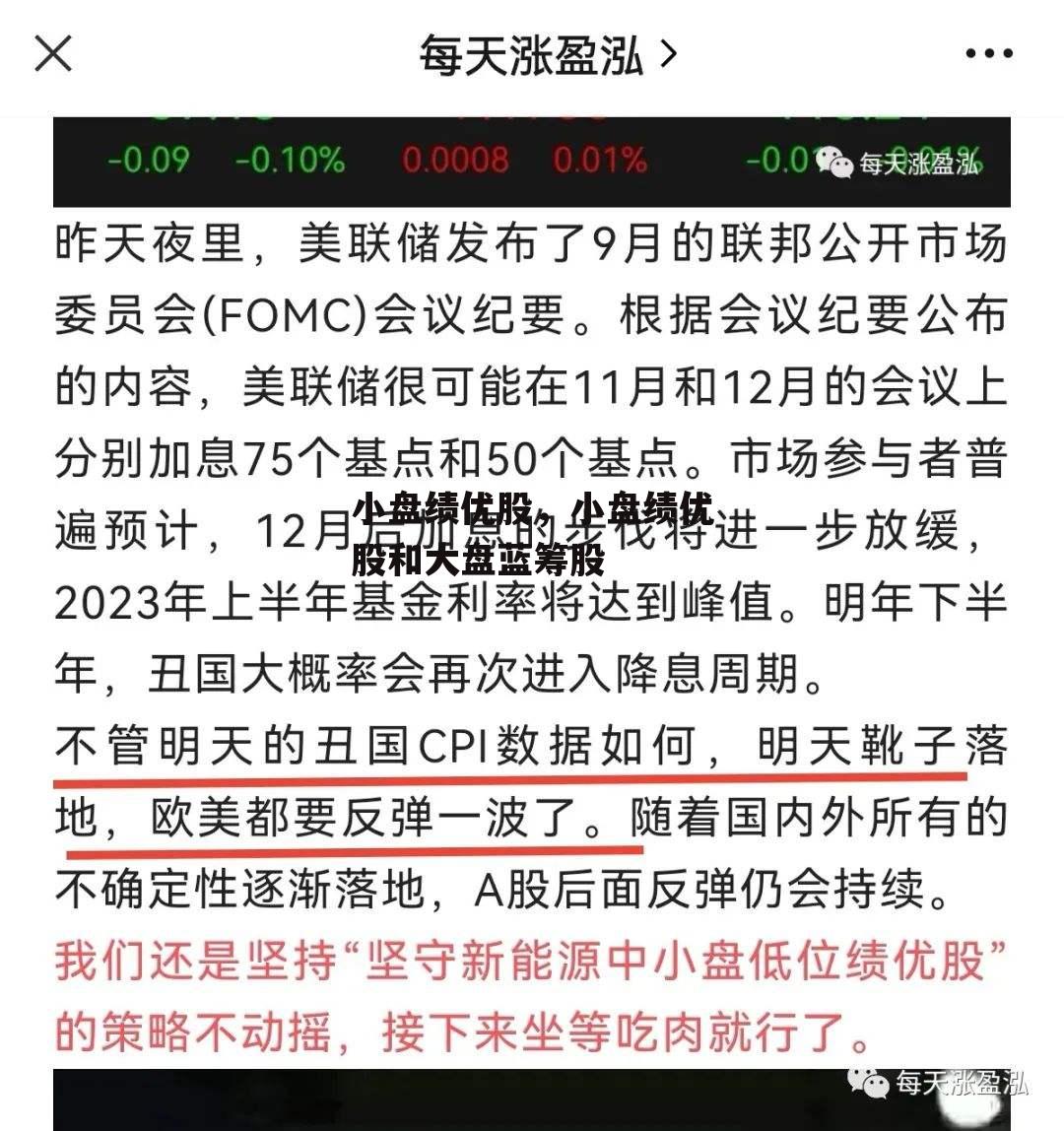 小盘绩优股，小盘绩优股和大盘蓝筹股